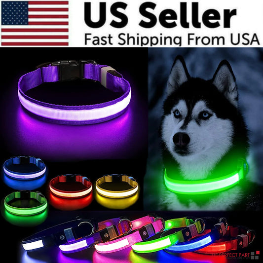 Glowing LED Safety Dog Collar