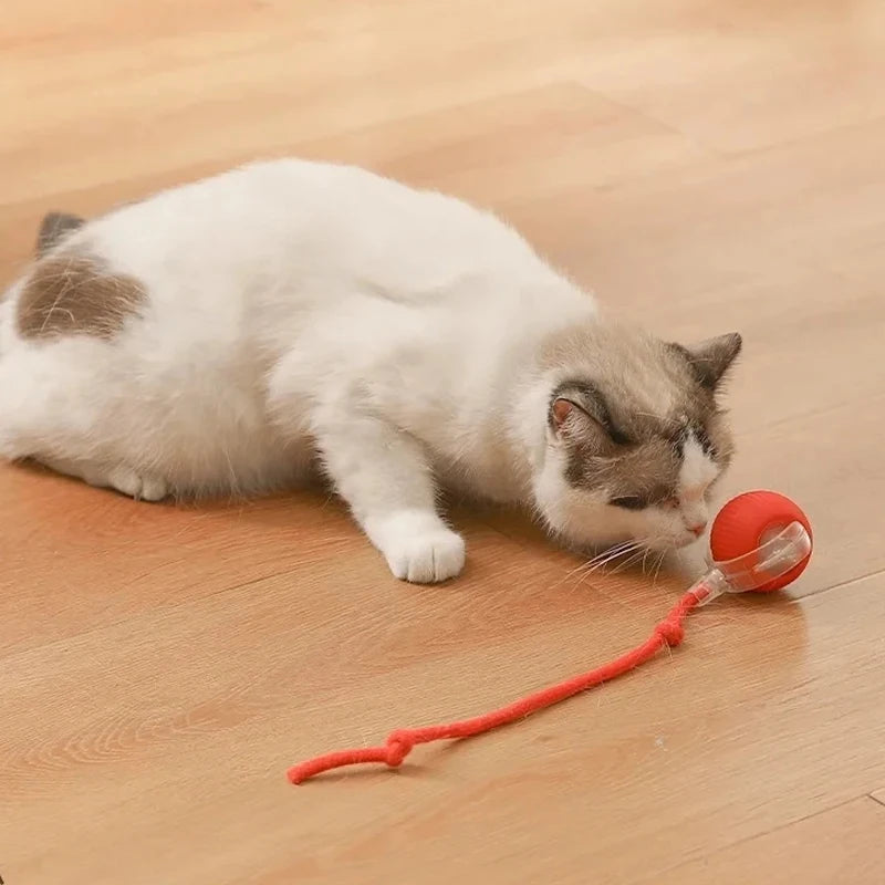 Smart Interactive Cat Toy