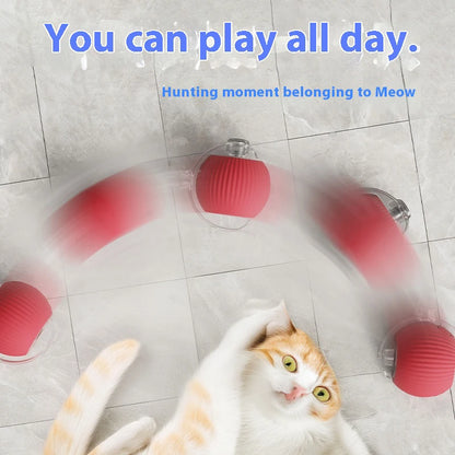 Smart Interactive Cat Toy