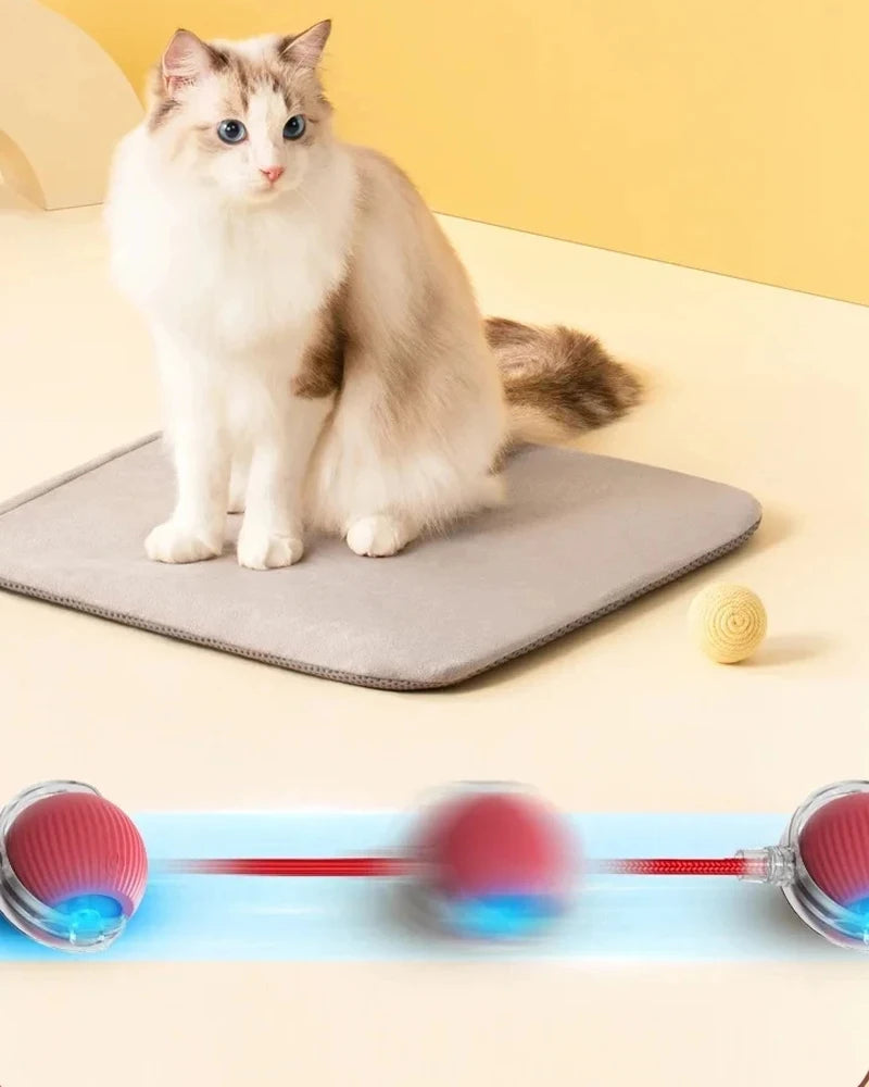 Smart Interactive Cat Toy