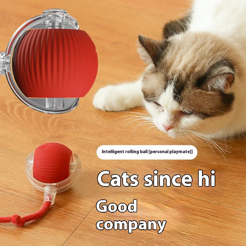 Smart Interactive Cat Toy