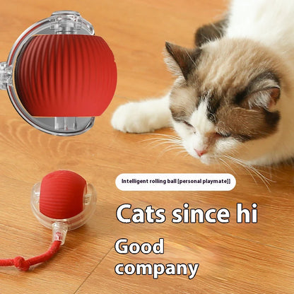 Smart Interactive Cat Toy