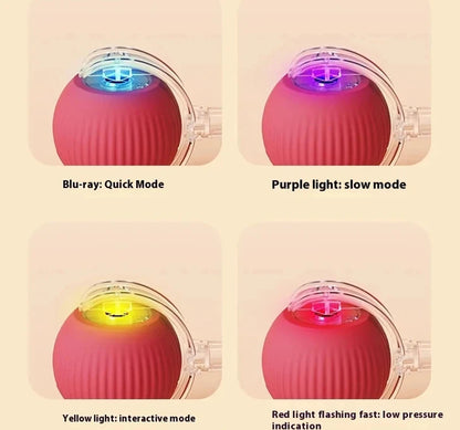 Smart Interactive Cat Toy