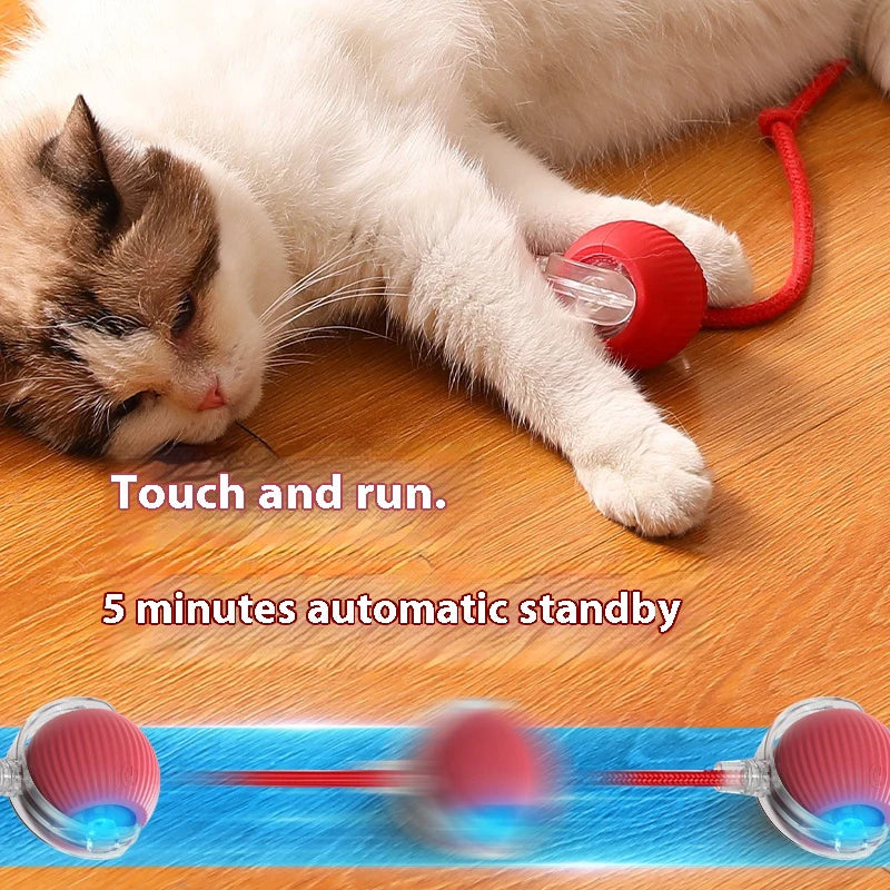 Smart Interactive Cat Toy