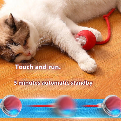 Smart Interactive Cat Toy