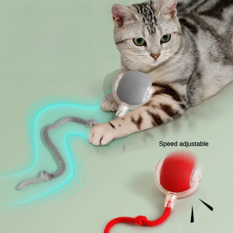 Smart Interactive Cat Toy